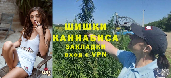 гидропоника Алзамай