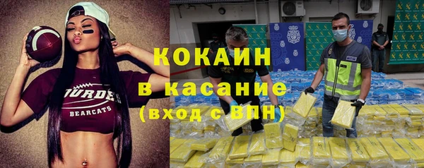 apvp Ельня