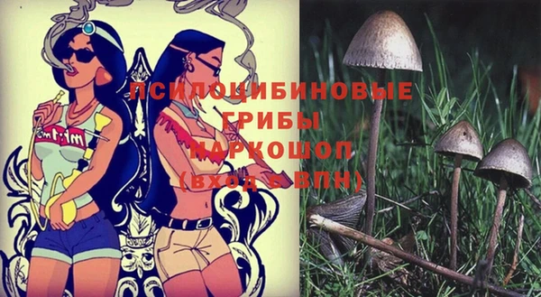 наркотики Алексеевка