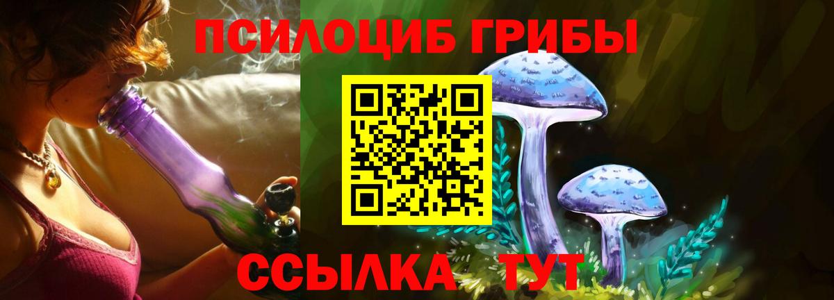 Псилоцибиновые грибы Cubensis Беслан